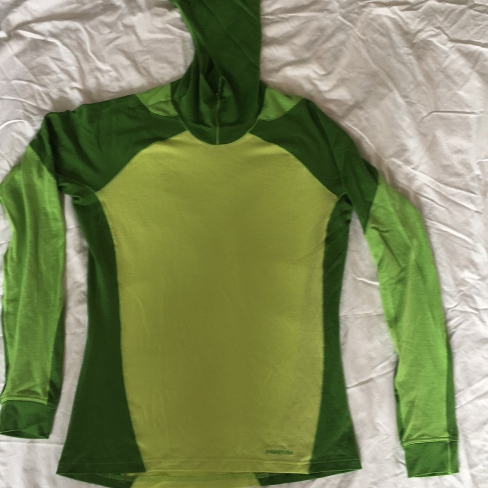 Patagonia wool hooded top